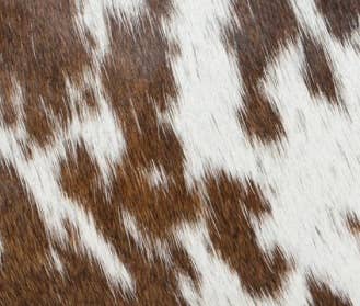 Ladies Cowhide Wallet - Twist latch