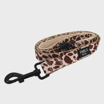 Rodeo Dog Leash