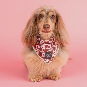 Rodeo Dog Bandana