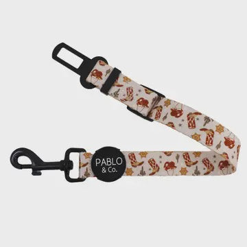 Howdy: Adjustable Car Restraint