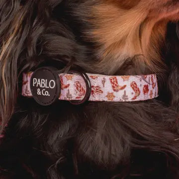 Howdy Dog Collar