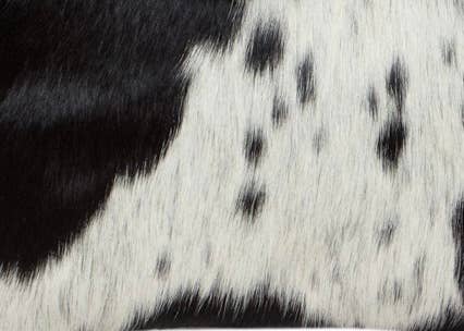 Ladies Cowhide Wallet - Twist latch